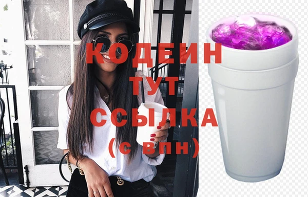 сатива Новодвинск