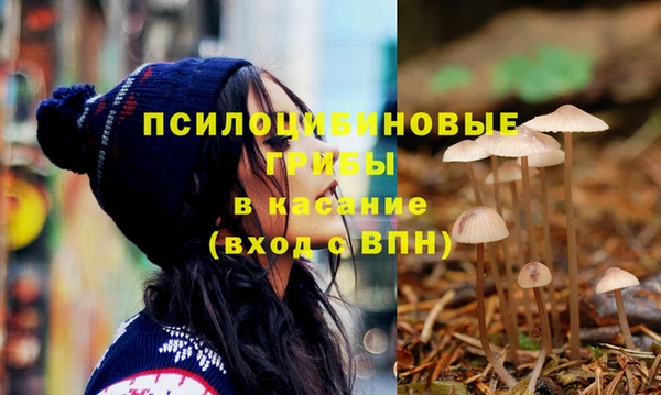 СК Алексеевка